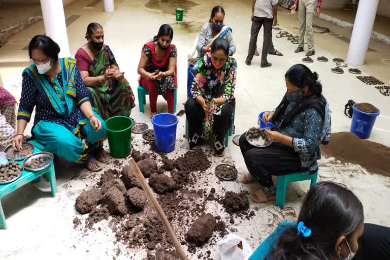 ભાવનગરના શિક્ષકોએ 20 લાખથી વધું SEED BALL બનાવ્યા