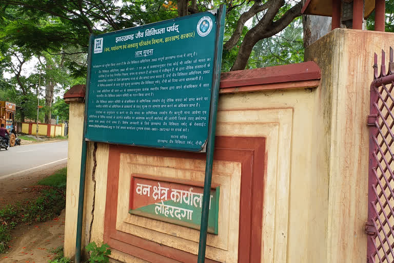 tiger in the forest of lohardaga