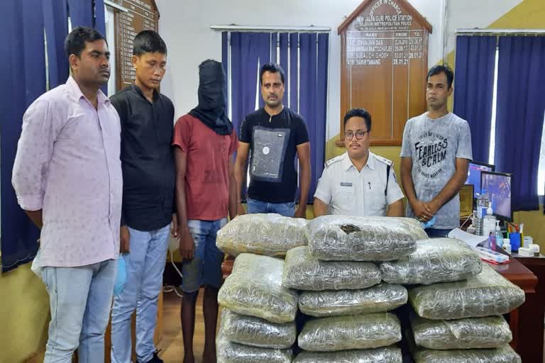 1-arrested-with-156-kg-of-cannabis-in-siliguri