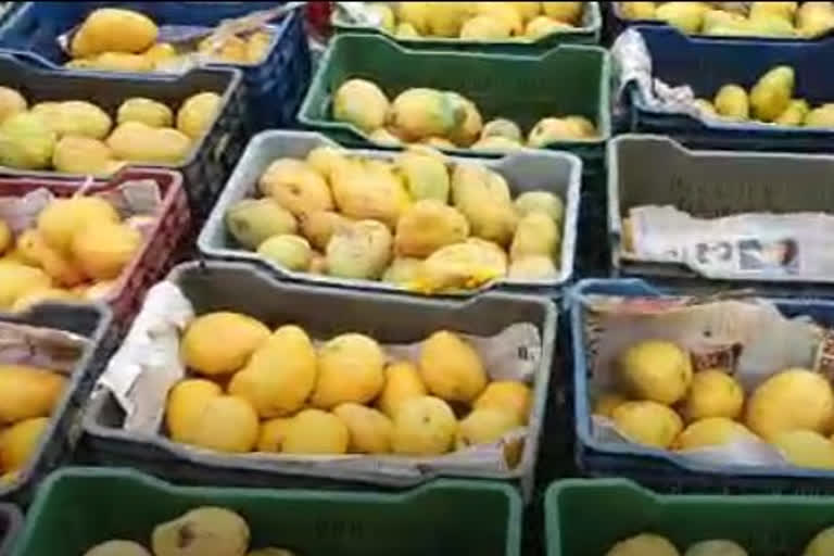 mango