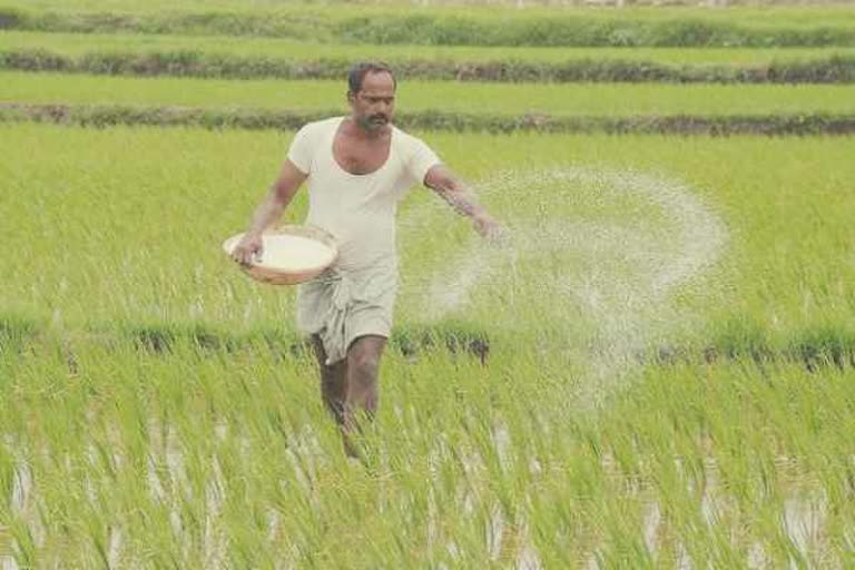 உரங்களுக்கு ஊட்டச்சத்து அடிப்படையிலான மானிய விலைகள்