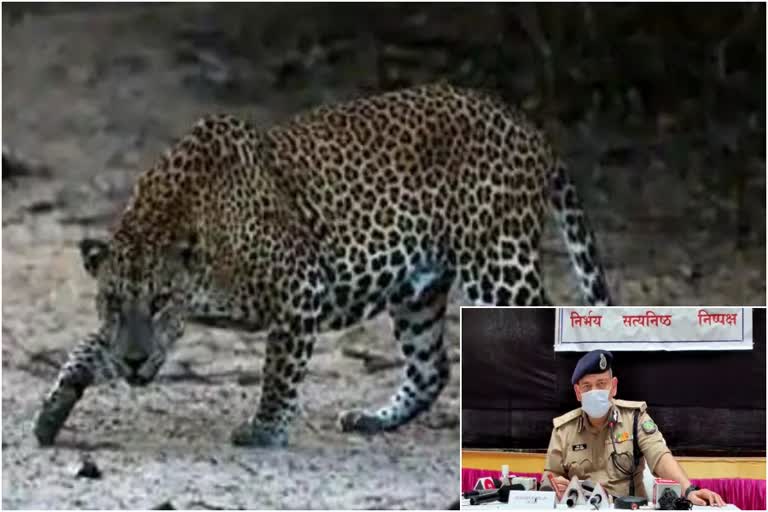 director-general-of-police-sanjay-kundu-on-protecting-wildlife