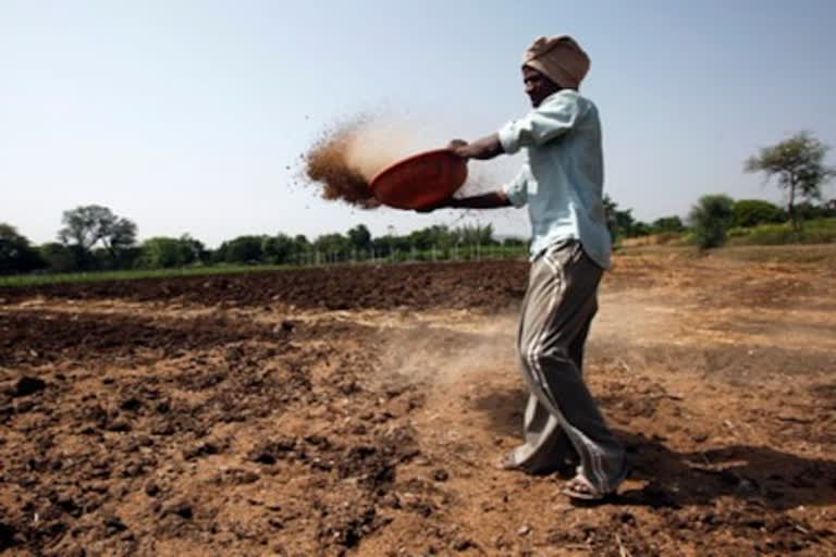 P&K fertilisers  union cabinet committee  nutrient based subsidy  പി&കെ വളങ്ങൾ  കേന്ദ്ര സർക്കാർ സബ്‌സിഡി