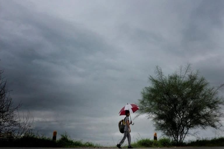 Conditions unfavourable for advance of monsoon in Delhi  monsoon in Delhi  monsoon in northwest India  IMD  ഡൽഹി മൺസൂൺ  വടക്കുപടിഞ്ഞാറൻ സംസ്ഥാനങ്ങളിലെ മൺസൂൺ  ഇന്ത്യ മൺസൂൺ