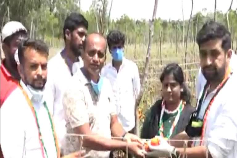 Raksha Ramaiah  bought tomato from  farmer