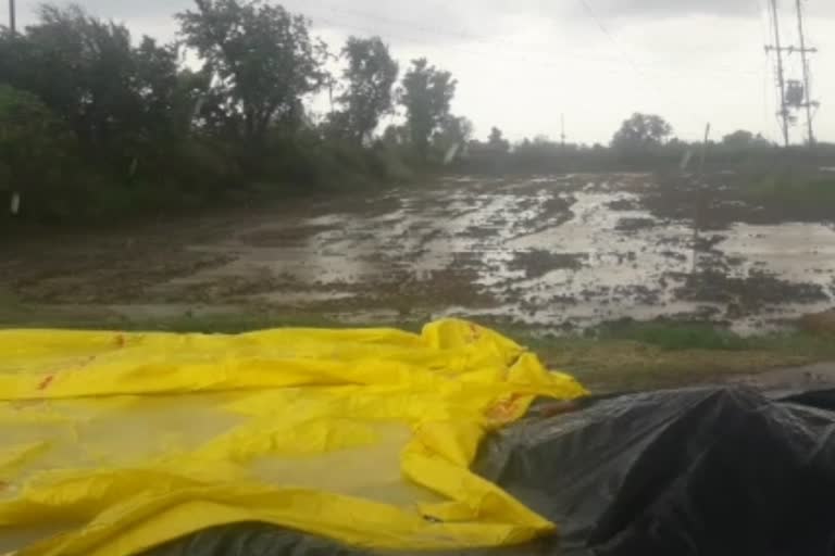 Torrential rain turned disaster on farmers