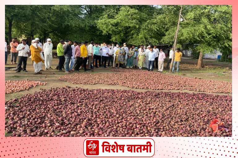 समृद्धी महामार्गाच्या कामामुळे शेतात साचले पाणी, कांद्याचे मोठ्या प्रमाणात नुकसान