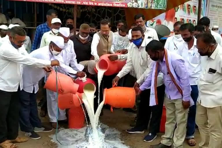 Dairy Farmers Throw Milk On Roads In Protest in ahmednagar