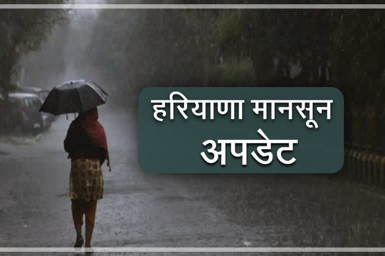 haryana weather update today monsoon rain in haryana
