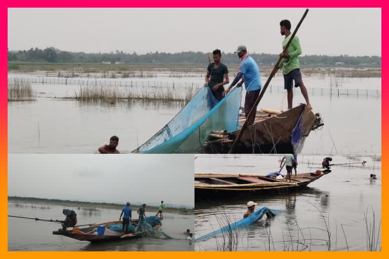 prawn gheri eviction in chilika