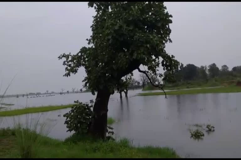 Bhairavi Dam canal damaged