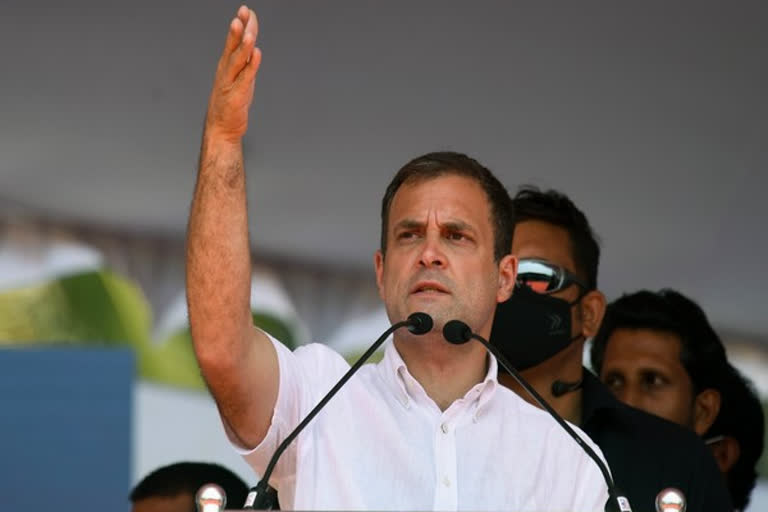 Rahul takes a dig at Modi govt over fuel prices