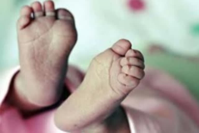 death of 2yr old in udumbanchola  idukki  udumbanchola  ഇടുക്കിയിൽ മാലിന്യക്കുഴിയിൽ വീണ് രണ്ട് വയസ്‌കാരന് ദാരുണാന്ത്യം  മാലിന്യക്കുഴിയിൽ വീണ് രണ്ട് വയസ്‌കാരന് ദാരുണാന്ത്യം  ഉടുമ്പൻചോല