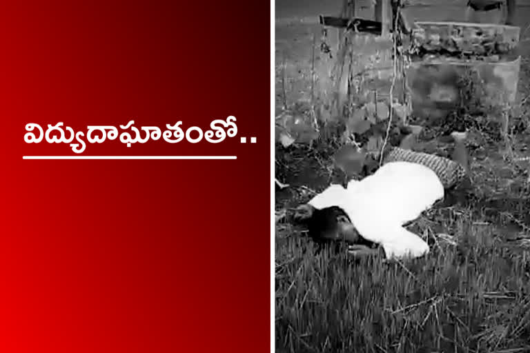 farmer was electrocuted in Nizamabad district