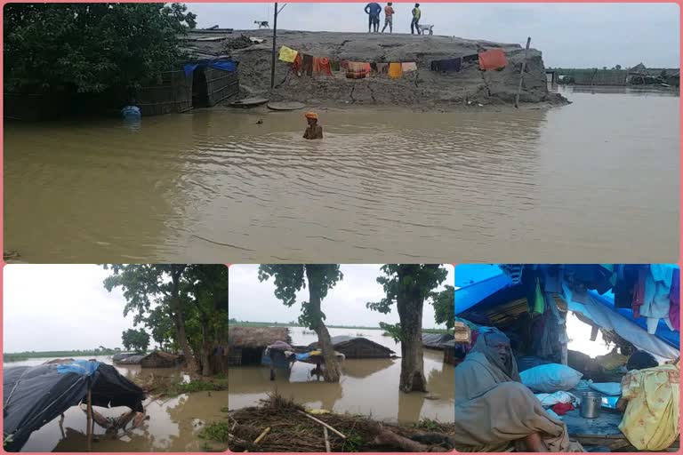 Flood in Bagha