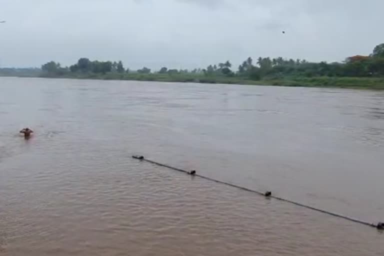 water-level-of-krushna-annd-varna-river-increasing-in-sangli