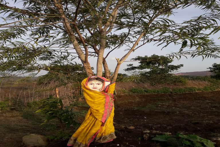 Green Commando Virendra Singh has been motivating people to plant trees for last 22 years in Kanker