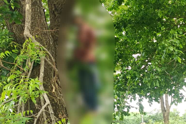 पेड़ से लटका मिला किशोर का शव  डूंगरपुर की ताजा खबरें  आसपुर की ताजा खबरें  नीम के पेड़ से लटका मिला शव  dead body found hanging from neem tree  crime in dungarpur