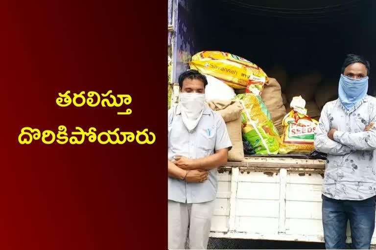 భారీస్థాయిలో నిషేధిత పత్తి విత్తనాలు పట్టివేత