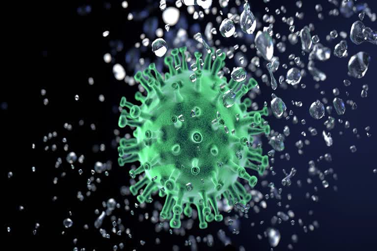 Coronavirus