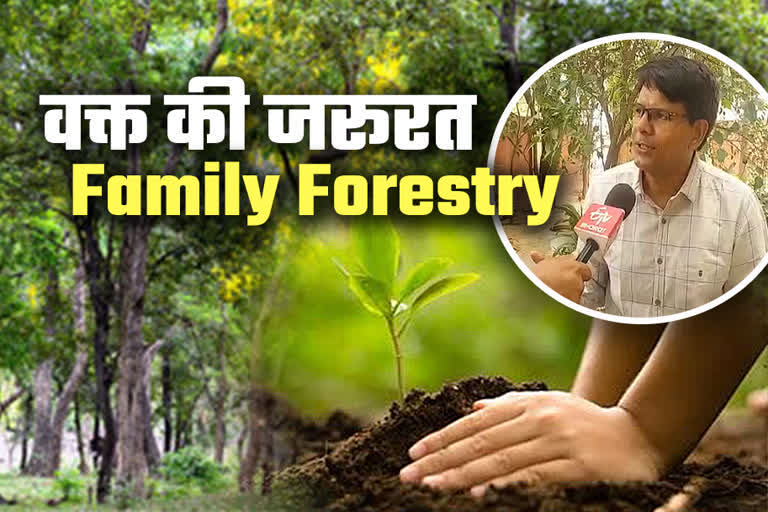 Family Forestry