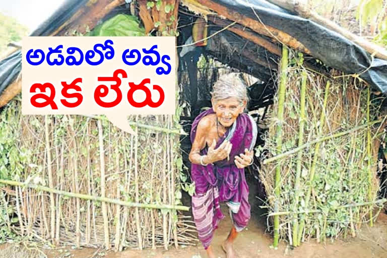 narnoor adilabad, forest old lady died