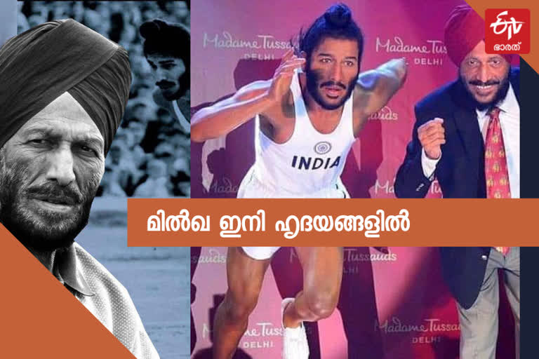 മില്‍ഖ സിങ് ഓര്‍മ വാര്‍ത്ത  മില്‍ഖയും ട്രാക്കും വാര്‍ത്ത  മില്‍ഖയും മെഡലുകളും വാര്‍ത്ത  milkha singh memmory news  milkha and track news  milkha and medals news