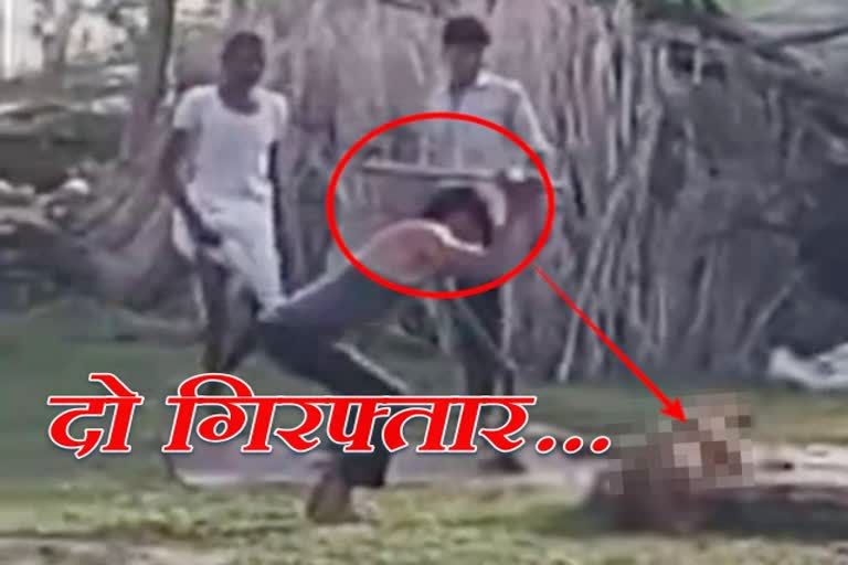 crime news  rajasthan latest news  Alwar Police  dog killing  pet dog killing  अलवर की ताजा खबरें  राजस्थान की ताजा खबरें  कुत्ते की हत्या  कुत्ते की हत्या मामले में 2 गिरफ्तार