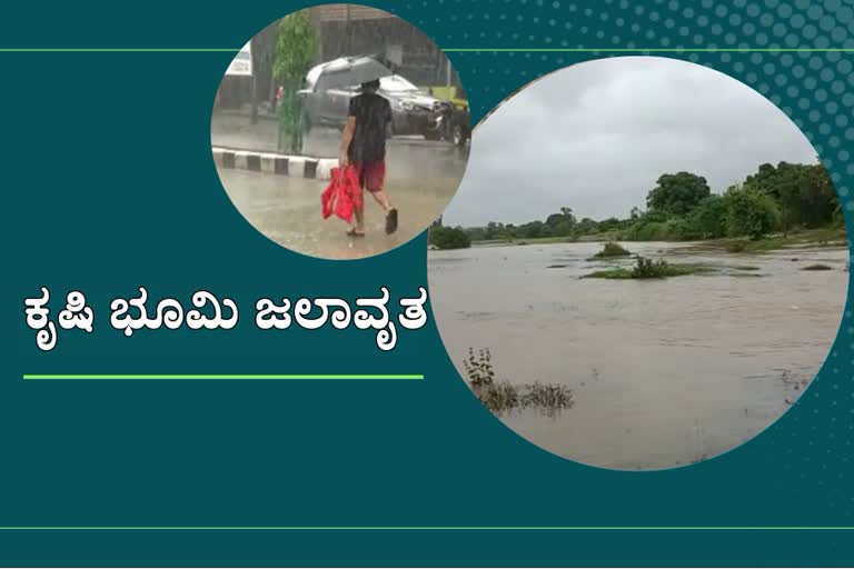 100-acaras-of-farmland-submerged-from-heavy-rain