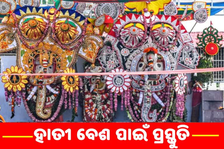 preparation for the Gajanana besa, Gajanana besa,  jagannath, Snana purnima, ମହାପ୍ରଭୁଙ୍କ ଗଜାନନ ବେଶ, ଗଜ ବେଶ ପାଇଁ ପ୍ରସ୍ତୁତି, ହାତୀ ବେଶ ନିର୍ମାଣ କାର୍ଯ୍ୟ, ଦେବ ସ୍ନାନ ପୂର୍ଣ୍ଣିମା