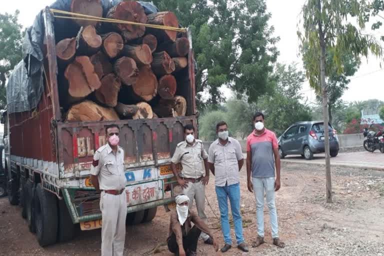 लकड़ी तस्करी , ट्रक पकड़ा,  गुजरात तस्करी , डूंगरपुर समाचार,  timber smuggling , caught the truck,  Gujarat smuggling , Dungarpur News