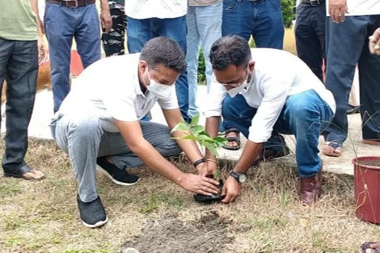 Planting of trees in Chirang Bijni