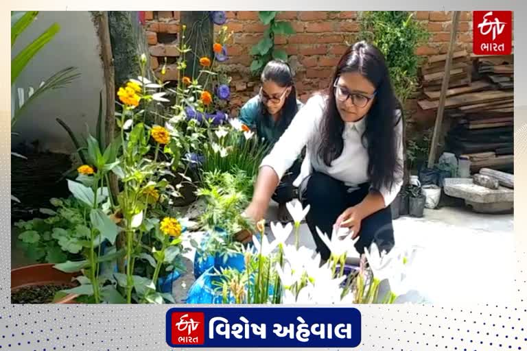 Corona's infected sisters in Ranchi create a garden with the best thinking from the Waste