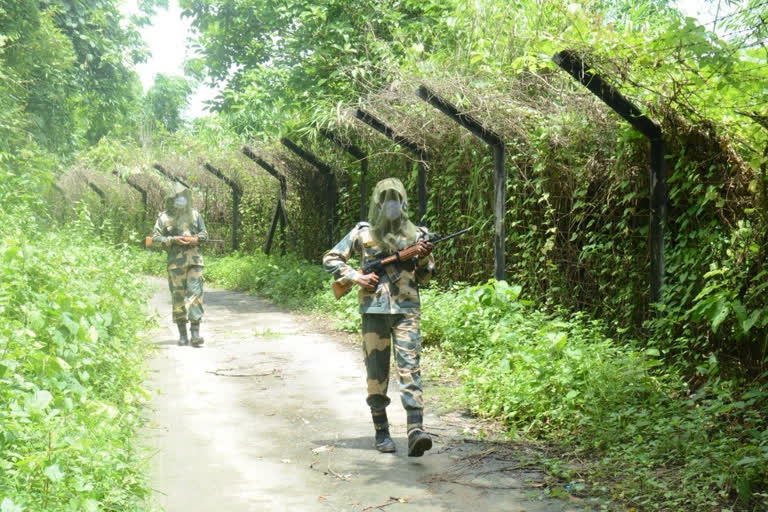 BSF arrests Pakistani infiltrator from the International Border in Barmer district