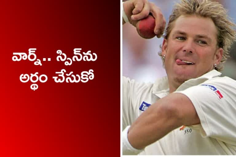 shane warne, virendra sehwag