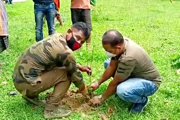 নগাঁৱত হাতীবন্ধুৰ গছপুলি ৰোপনৰ কাৰ্যসূচী