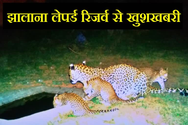 Jhalana Leopard Reserve,  Rajasthan Latest News