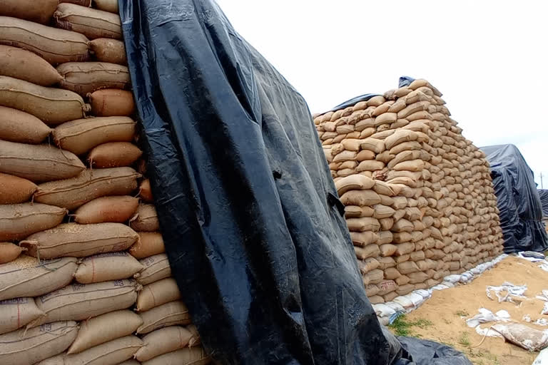 cooperative societies reached Chhattisgarh High Court due to non-lifting of paddy in Dhamtari