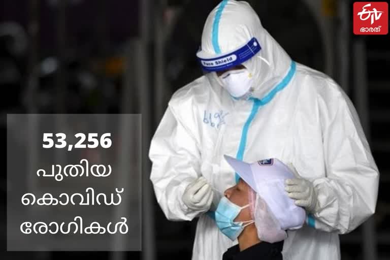 India reports 53,256 new covid cases  covid updates  covid cases  covid 19 updates  covid vaccination updates  covid death updates  രാജ്യത്ത് 53,256 പേർക്ക് കൂടി കൊവിഡ്  കൊവിഡ് 19 വാർത്തകൾ  കൊവിഡ് മരണം വാർത്തകൾ  ഇന്ത്യ കൊവിഡ് വാർത്തകൾ  കൊവിഡ് വാക്സിനേഷൻ വാർത്തകൾ