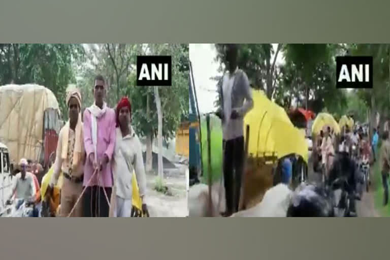 Amid rising fuel prices, wedding procession uses bullock carts to reach venue in UP's Deoria  ഇന്ധനവില വർധന  ഇന്ധനവില  യുപിയിൽ വരന്‍റെയും ബന്ധുക്കളുടെയും വിവാഹ ഘോഷയാത്ര കാളവണ്ടിയിൽ  വിവാഹ ഘോഷയാത്ര  കാളവണ്ടി  fuel price  rising fuel prices  wedding procession  bullock carts