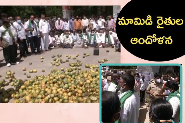 mango farmers protest