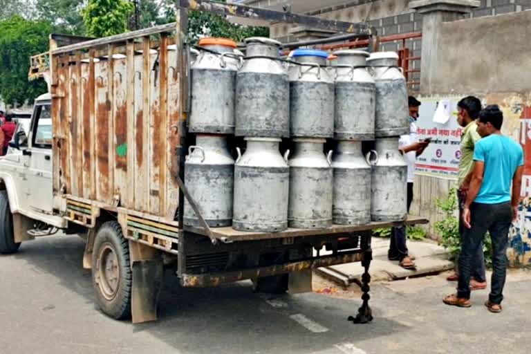 नकली दूध जब्त  सरस डेयरी दौसा  क्राइम इन दौसा  फूड इंस्पेक्टर  food inspector  crime in dausa  Saras Dairy Dausa