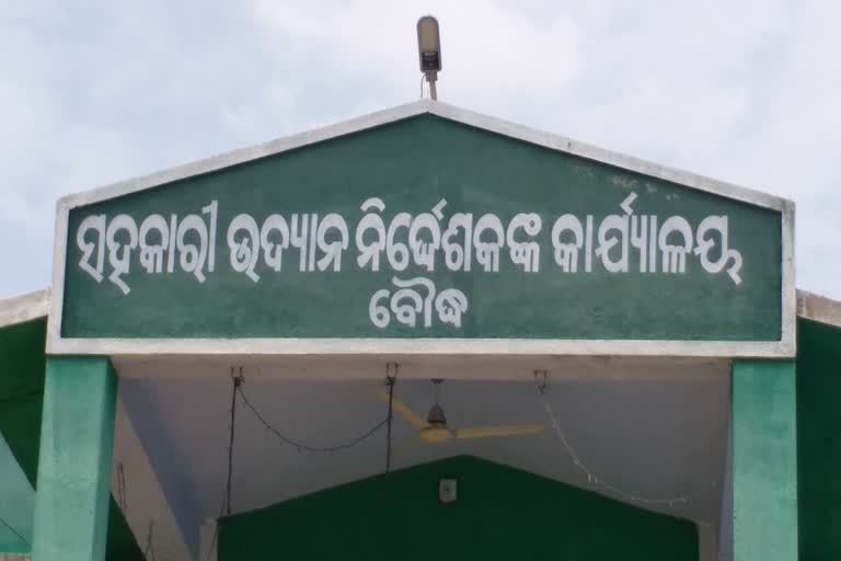 ବୌଦ୍ଧ ଜିଲ୍ଲାରେ ଜଳଛାୟା ପରେ ଉଦ୍ୟାନ ବିଭାଗରେ ଦୁର୍ନୀତିର ଅଭିଯୋଗ