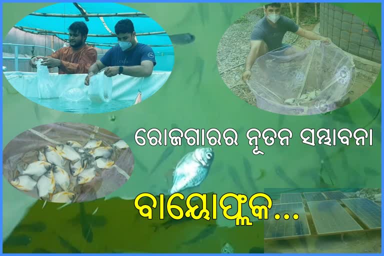 ବାୟୋଫ୍ଲକ ମାଛଚାଷ: ସ୍ବାବଲମ୍ବିର ନୂତନ ସମ୍ଭାବନା