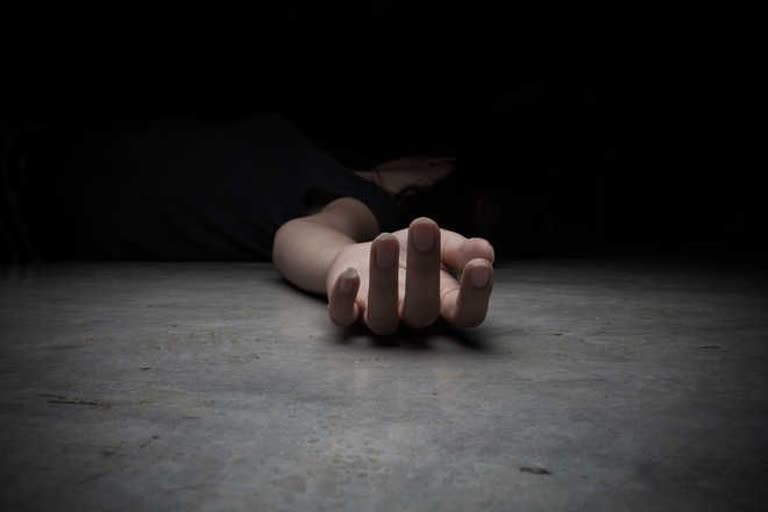 सवाई माधोपुर न्यूज, married woman commits suicide