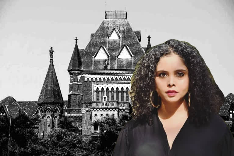 Rana Ayyub