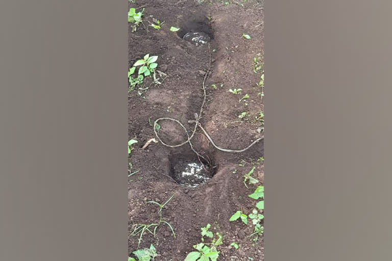 BSF unearths 2 IEDs in Odisha's Swabhiman Anchal