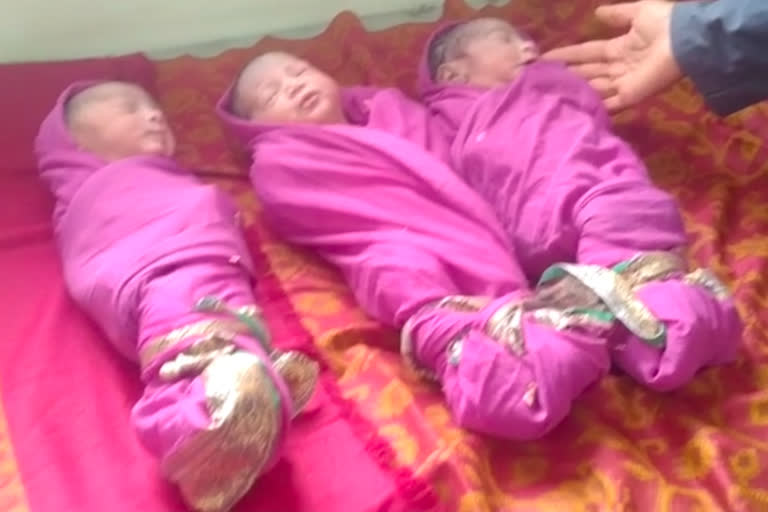 woman-gave-birth-to-triplets-in-hivre-khurd-pune