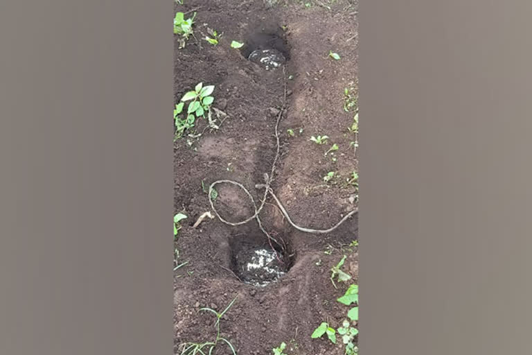 BSF unearths IEDs in Odisha's Swabhiman Anchal