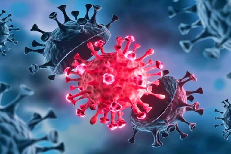 21-delta-plus-mutant-virus-found-in-maharastra